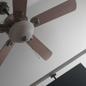 Meet your Posher, Sonia